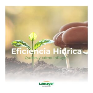 Eficiencia hídrica