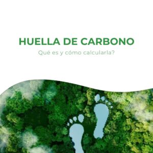 Huella de carbono