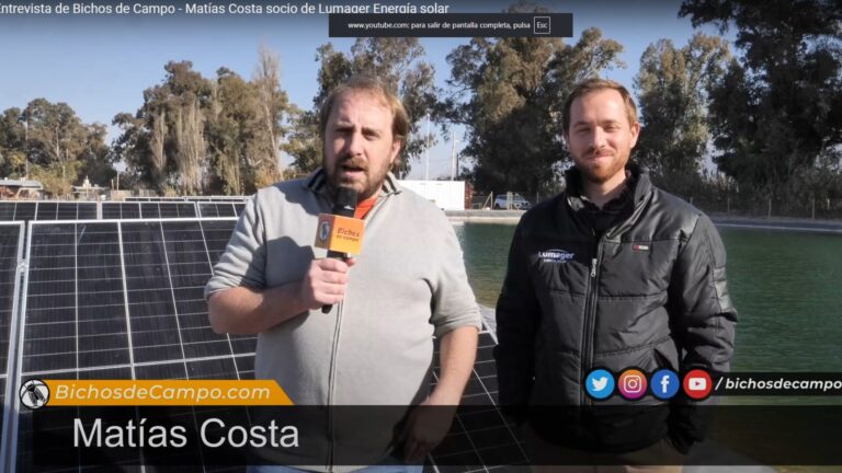 Lee más sobre el artículo Entrevista Bichos de Campo