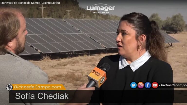 Lee más sobre el artículo Entrevista Bichos de Campo